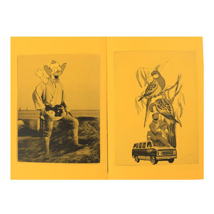 Kostas Seremetis / Halluciner