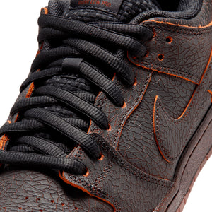 SB Dunk Low Pro 