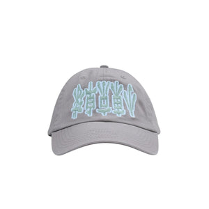 POV Cap - Grey