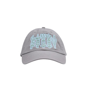 POV Cap - Grey