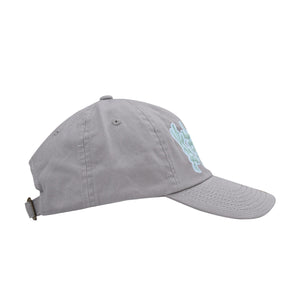 POV Cap - Grey
