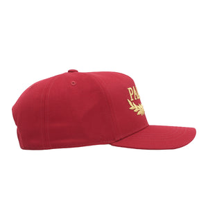 Laurel P Frame 5-Panel Snapback Berg