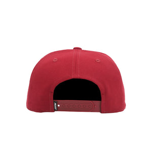 Laurel P Frame 5-Panel Snapback Berg