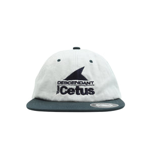 Cetus 6 Panel Hat - Green