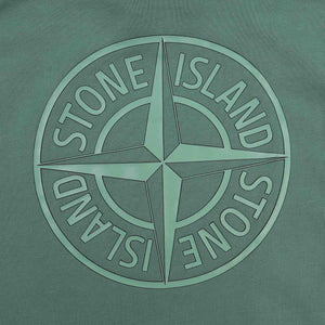 66283 Sweatshirt - Sage