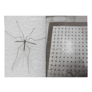 Agn√©s b / a few pictures ‚Äô