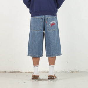 Curve Denim Shorts - Washed Blue