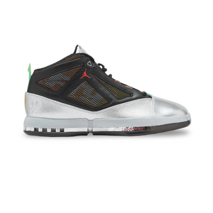 Air Jordan 16 x Free the Youth - Metallic Silver