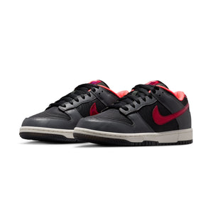 Dunk Low Protro - Black