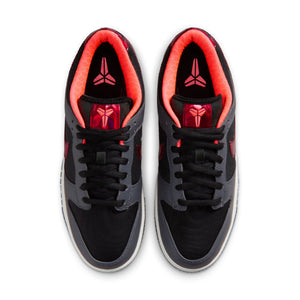 Dunk Low Protro - Black