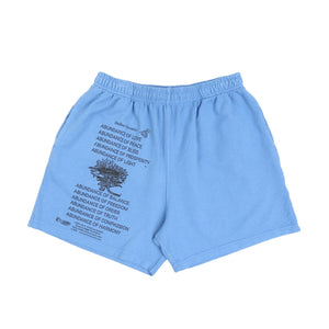 Abundance Shorts - Blue