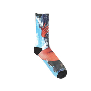 Printed College Socks 2 - Multi