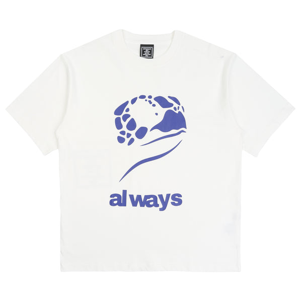 Turtle T-Shirt - White
