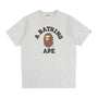 FW25 College Tee - Grey